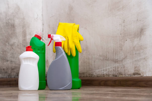 Best Mold Odor Removal Services  in Dos Palos, CA